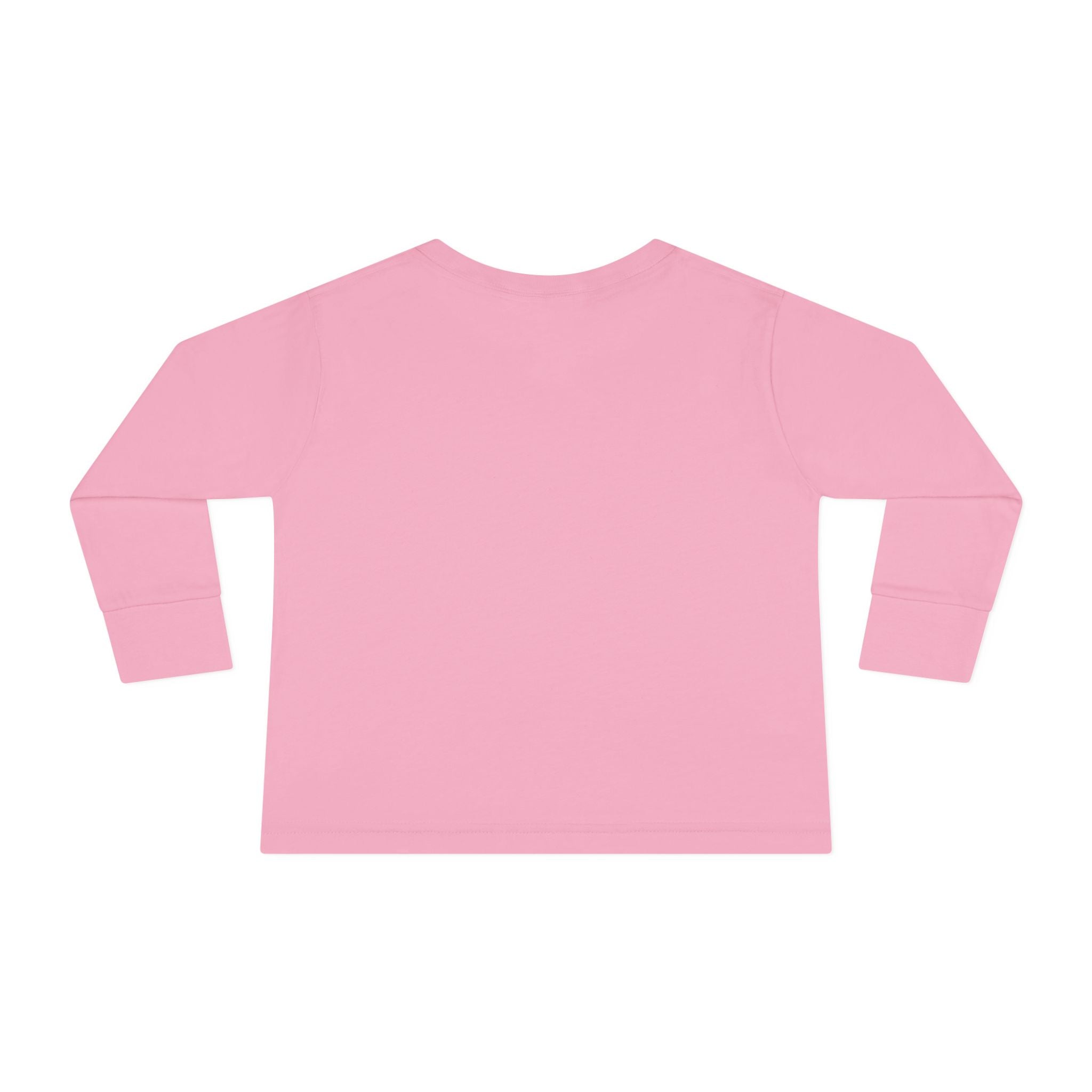Saved & Sanctified Toddler Long Sleeve Tee