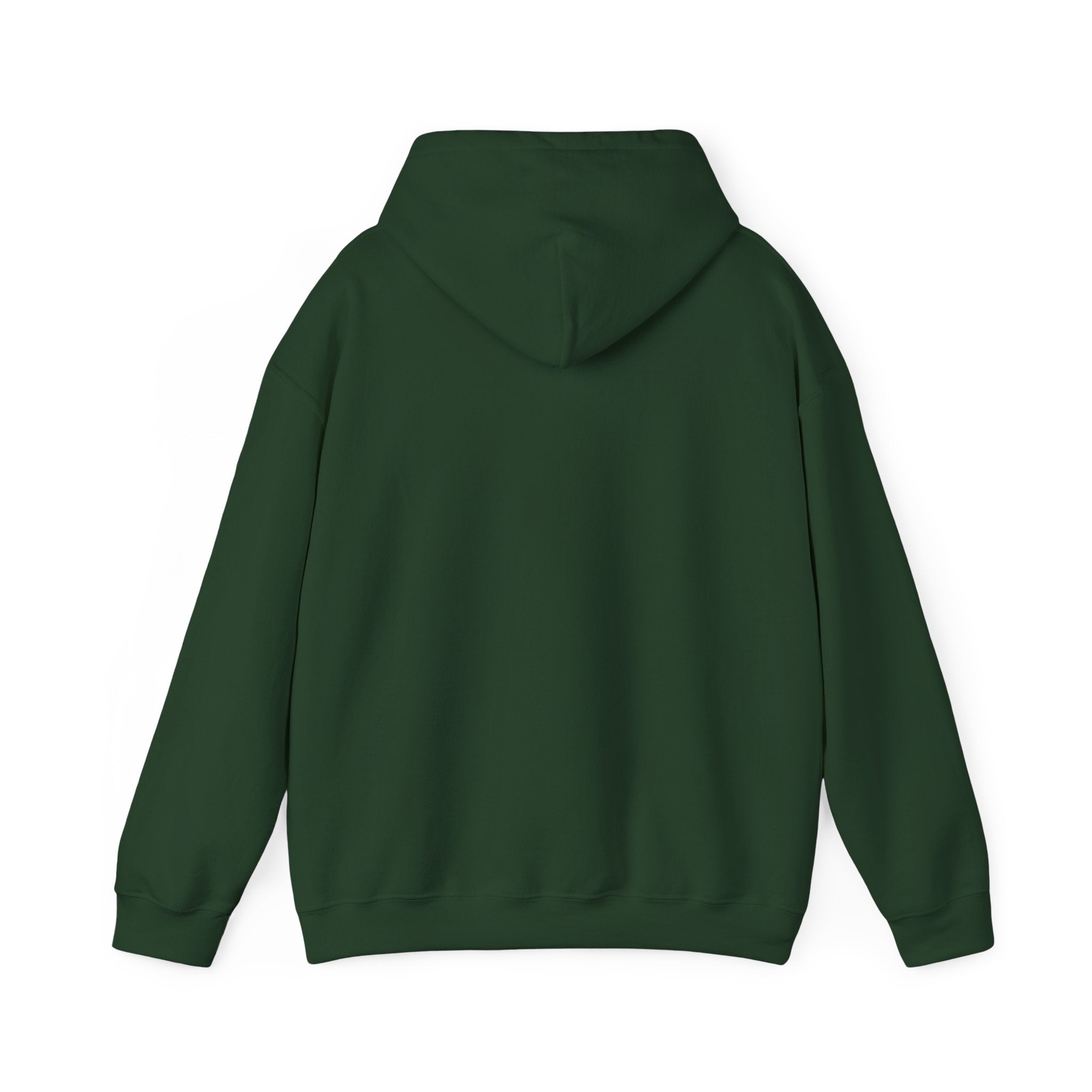 Bold Faith Hoodie