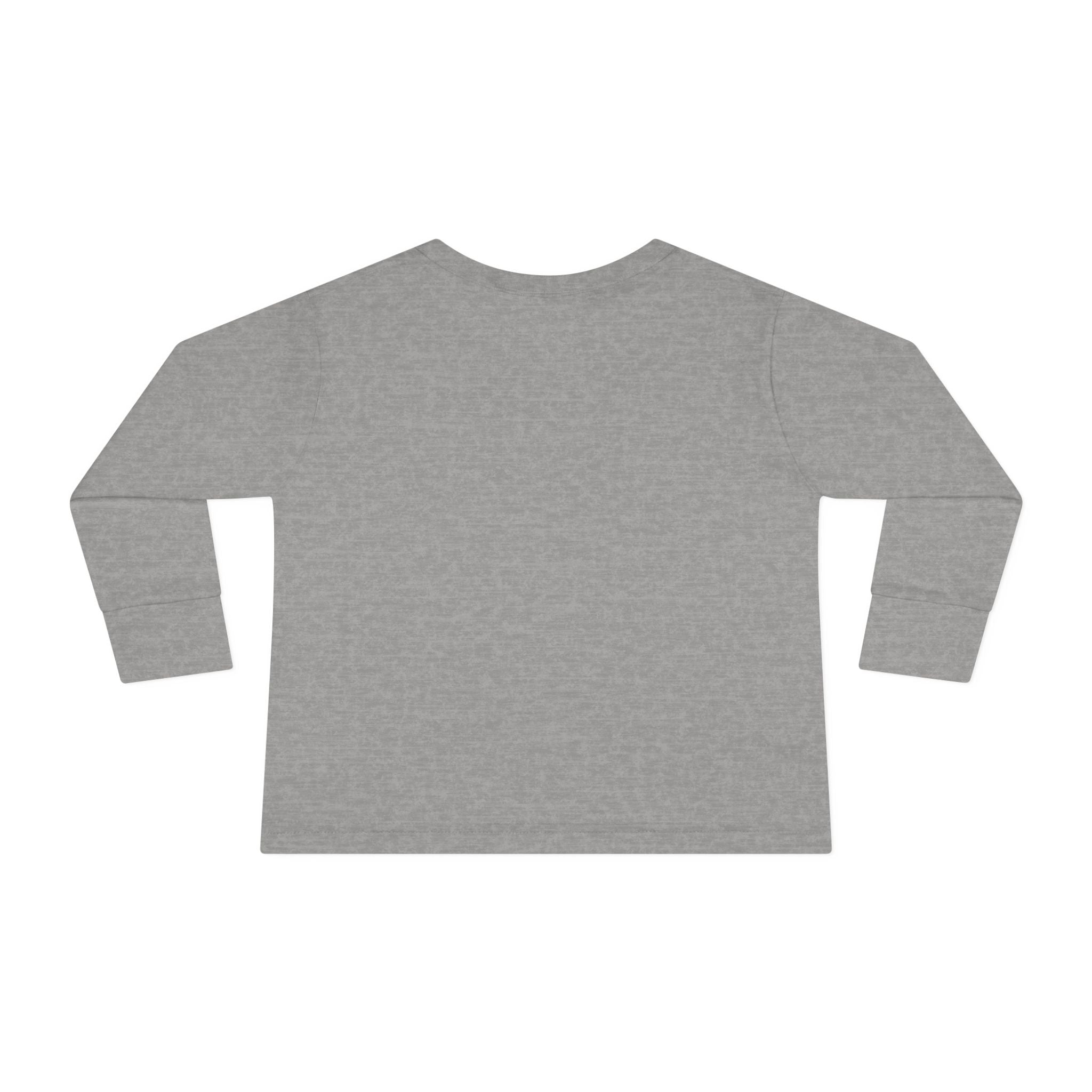 Saved & Sanctified Toddler Long Sleeve Tee