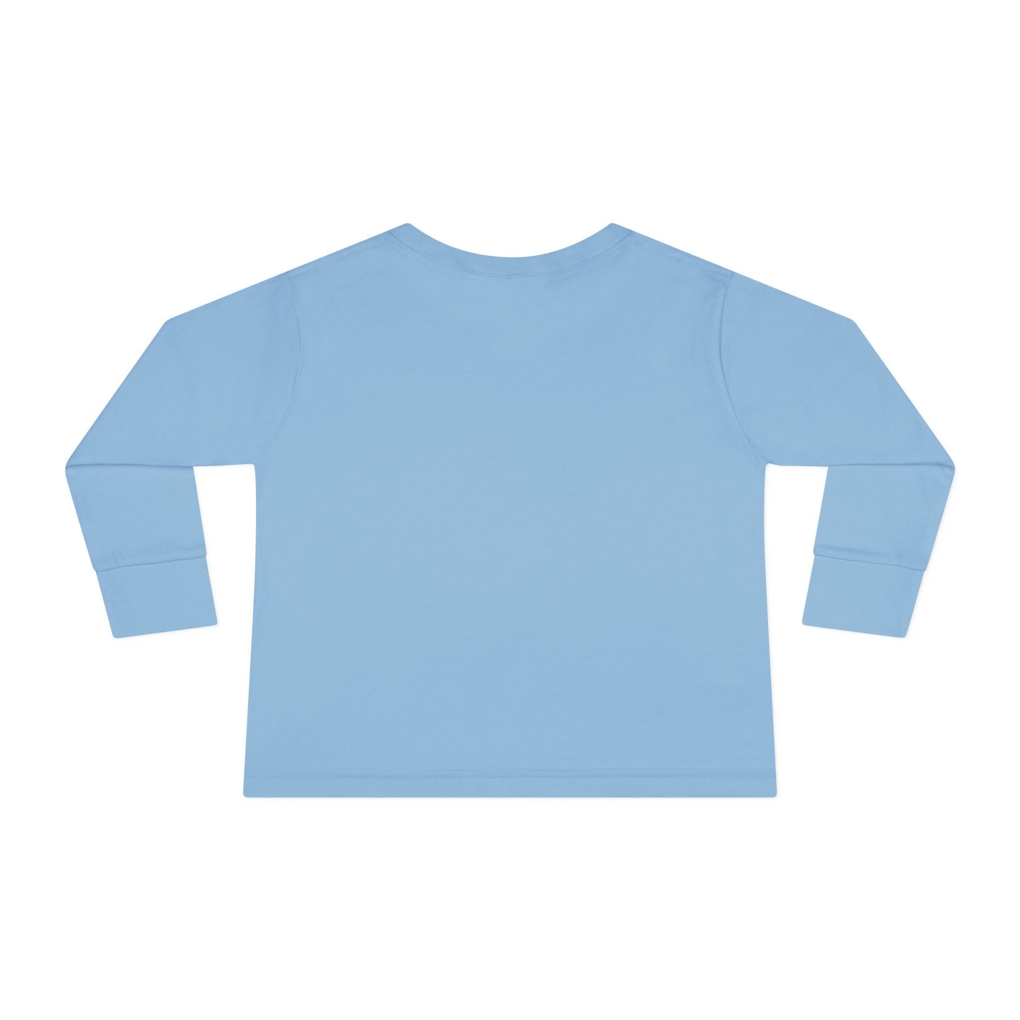 Saved & Sanctified Toddler Long Sleeve Tee