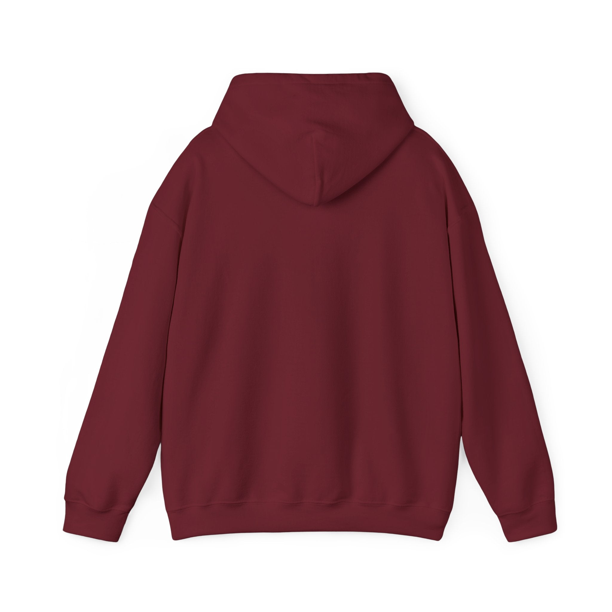Bold Faith Hoodie