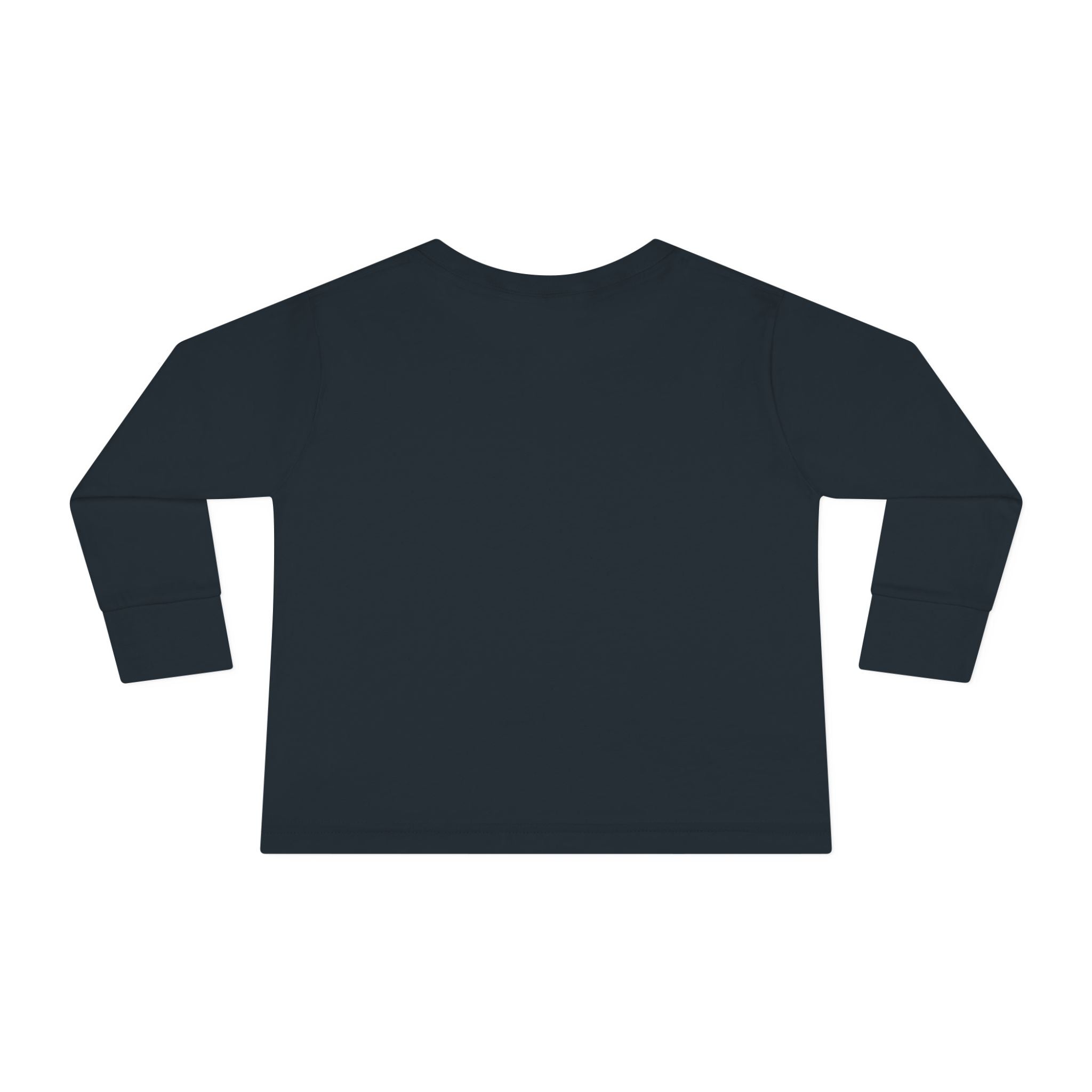 Saved & Sanctified Toddler Long Sleeve Tee